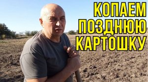 ВЫКОПАЛИ МАГАЗИННУЮ КАРТОШКУ удачный эксперимент