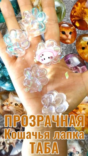 МАЛЕНЬКИЕ ТАБА ЛАПКИ 😻🐾 ЧТО МОЖЕТ БЫТЬ ПРЕКРАСНЕЙ? 💖🌈