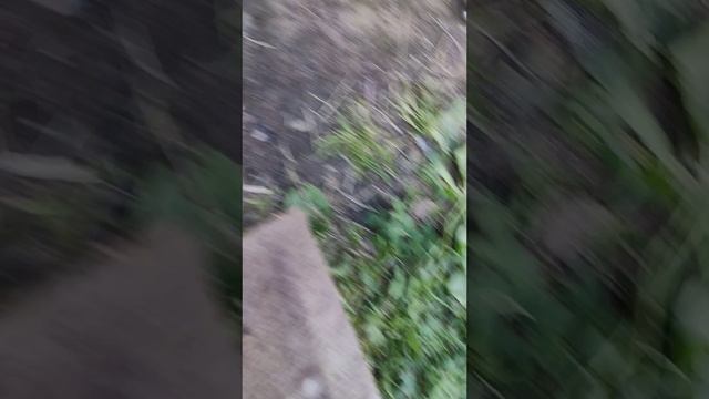 K24Z3 раскоксовка
