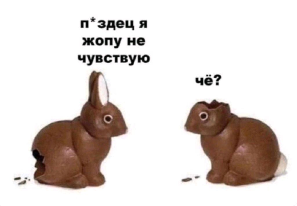 жизнь