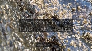 Сентябрь 2024. Часть 3 - Мадейра, Португалия