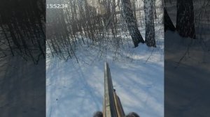 охота на зайца