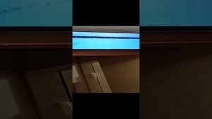 Мурка смотрит видео про рыбалку на Ютубе, канал Максима Гринюка "Max stingrei"