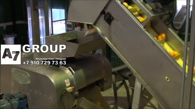 Линия переработки цитрусовых на сок 8000 кг в час