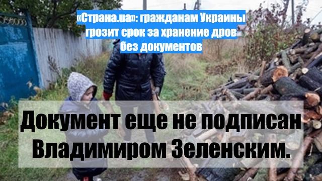 «Страна.ua»: гражданам Украины грозит срок за хранение дров без документов