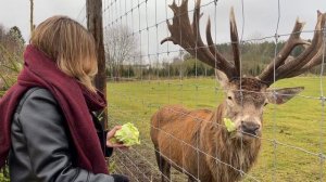 15145341-hd_1920_1080_60fps