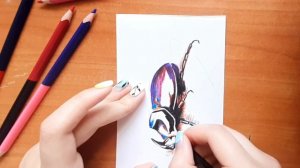 Урок - Рисуем Жука Носорога Карандашами За 30 Минут!