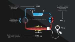 Шок - Лекция 2 - часть 2