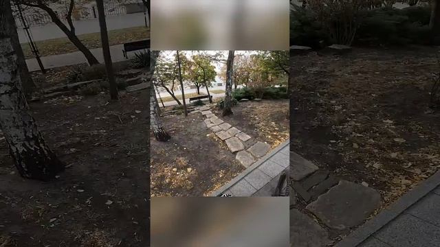 TG yaroslav_ghost
