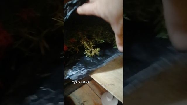 Баня на новые отношения.