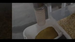 Линия переработки ромашки (после сушки) 100 кг в час