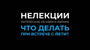 НеЛекции | Йети, бигфут, сасквоч, снежный человек – что делать при встрече?