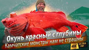 🇷🇺 Все виды морских рыб Камчатки за два дня! Где ловить и как поймать?