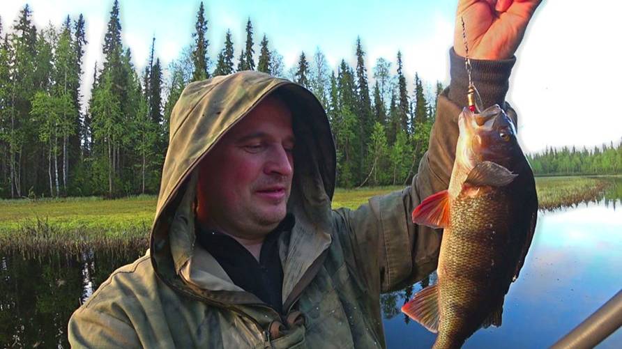 Копчу рыбу на даче! Рыбалка на торфяном озере. смотреть онлайн