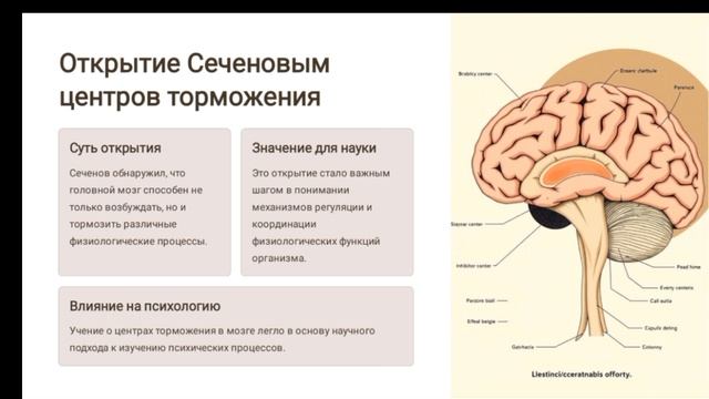 Гозун Виктория Сергеевна, Кононова Кристина Сергеевна, ГБОУ "Школа №85 г.о.Донецк"