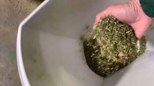 Агрегат очистки и классификации семян конопли 5000 кг в час видео отр