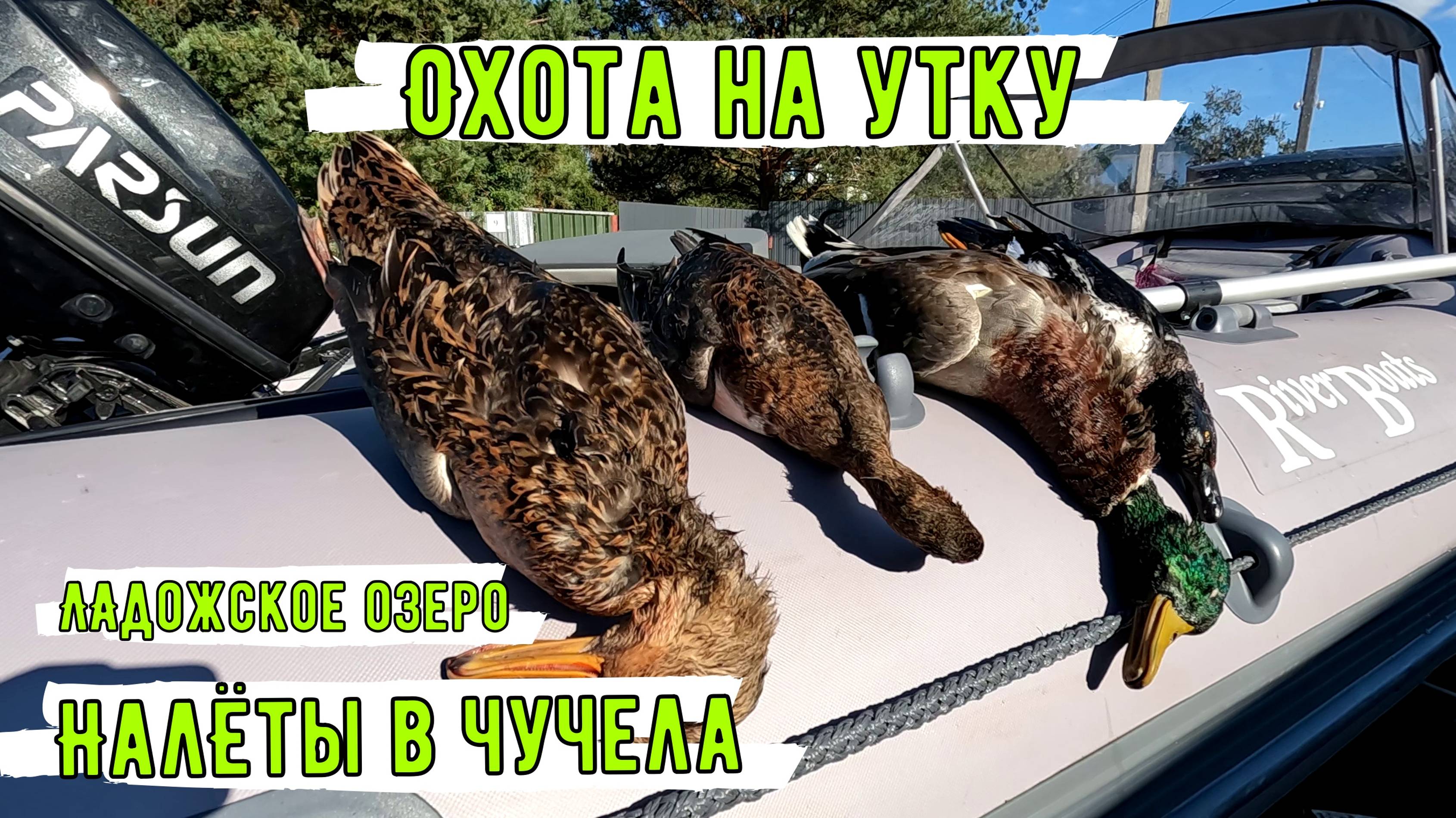 ОХОТА на УТКУ с чучелами.Скрадок на ЛОДКЕ.Налёты.
