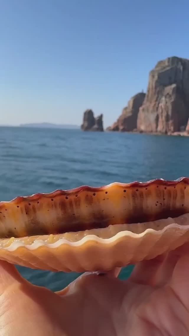 Самые свежие морские гребешки во Владивостоке😋🔥