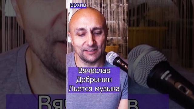 Вячеслав Добрынин - Льётся музыка Клондайс кавер из архива