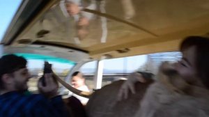 Лола устроила всем ШОУ !!!Шикарная фото-сессия с белыми львами !