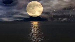 Вадим Зеланд!! Все будет назло!!!!! Трансерфинг реальности!!!!!