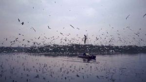 4713259-hd_1920_1080_30fps