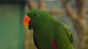 7356431-uhd_3840_2160_25fps