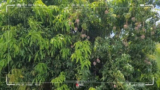 Метеостанция на крыше Это интересно