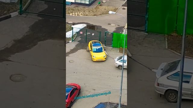 теслатакси tesla жкстоличный весна2024