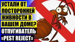 ⭐ PEST REJECT ИНСТРУКЦИЯ ПО ПРИМЕНЕНИЮ НА РУССКОМ ⛔