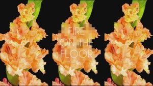 SYNFLO - Fire on the Floor (Визуалайзер)
