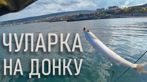 ЧУЛАРКА НА ДОНКУ в море. НЕОБЫЧНАЯ снасть.