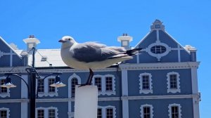 20180262-uhd_3782_2128_60fps