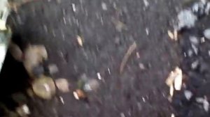 Выбросили телевизор с балкона это полный пи***ц