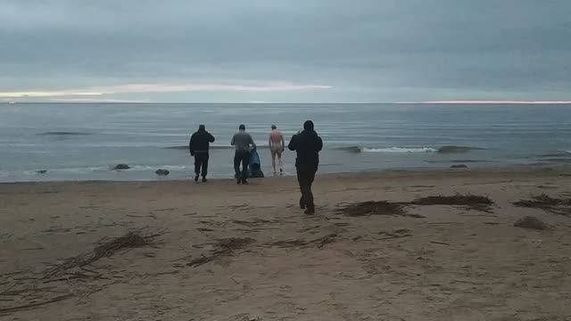 Купание 4 ноября в Заливе