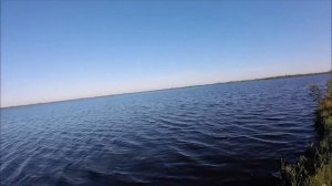 Рыбалка на озере Михайловское. Эльдорадо.