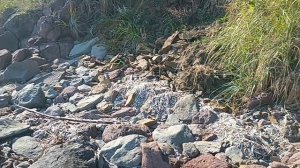 ДАЛЬНИЙ ВОСТОК ! НА БЕРЕГУ ТАТАРСКОГО ПРОЛИВА ! 2024