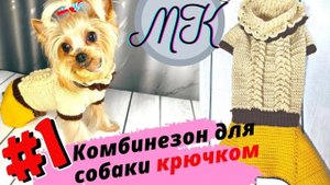 Комбинезон для собаки крючком - 1 серия