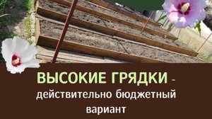 Как сделать высокие грядки из досок своими руками. Самый недорогой вид. Защита досок от насекомых
