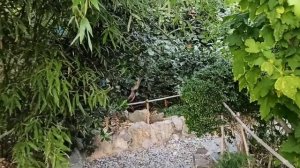 Гурзуф. Дача А.П.Чехова #гурзуф #дачачехова #эллапанкратова