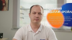 Как правильно кормить бройлеров? Секреты успешного выращивания!