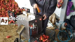 Агрегат удаления сердцевины перца 1200 шт в час
