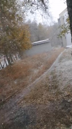 сегодня пошёл снег!!!