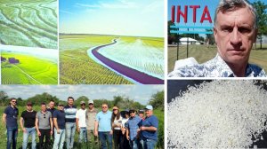 Учебная поездка N°31 в Аргентину, организатор Teknium - Aгро. Тема Рис и No-Till. 
агро-аргентина.рф