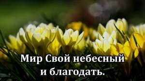 № 146 Твёрдо я верю _ Караоке с голосом _ Христианские песни _ Гимны надежды