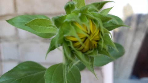 На балконе #сезонконтентаRUTUBE