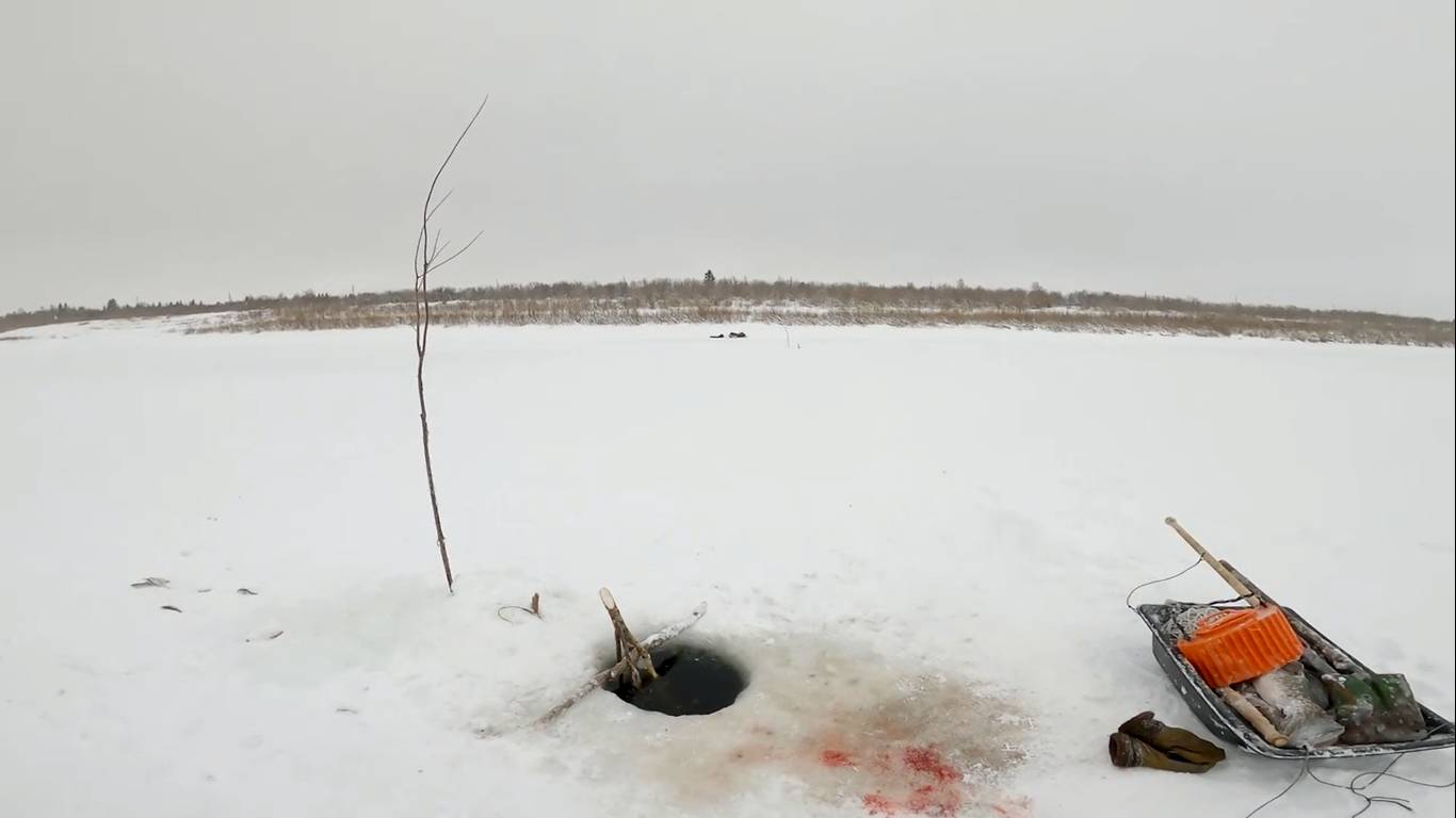 Рыбалка у чёрной дыры. Ловля налима. Серия одиннадцатая.