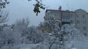 Снежная сказка