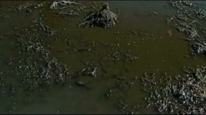 Ролик к 9 мая. С Днем Победы! Песня "Девчонки на войне". А ЗОРИ ЗДЕСЬ ТИХИЕ...