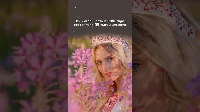 Коми-пермяки — народ финно-угорской группы, проживающий в России
